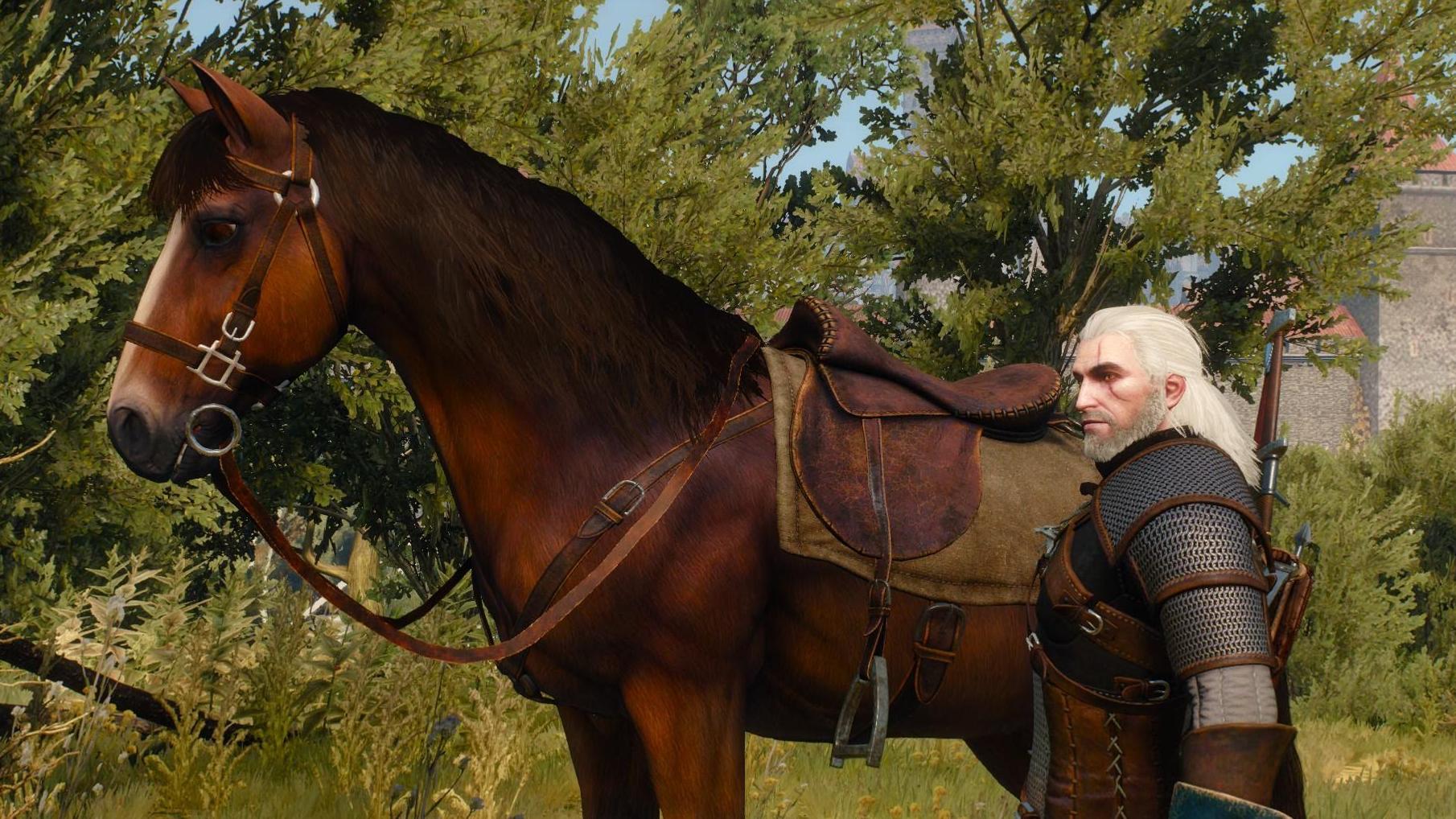 В The Witcher 3: Wild Hunt можно гладить Плотву