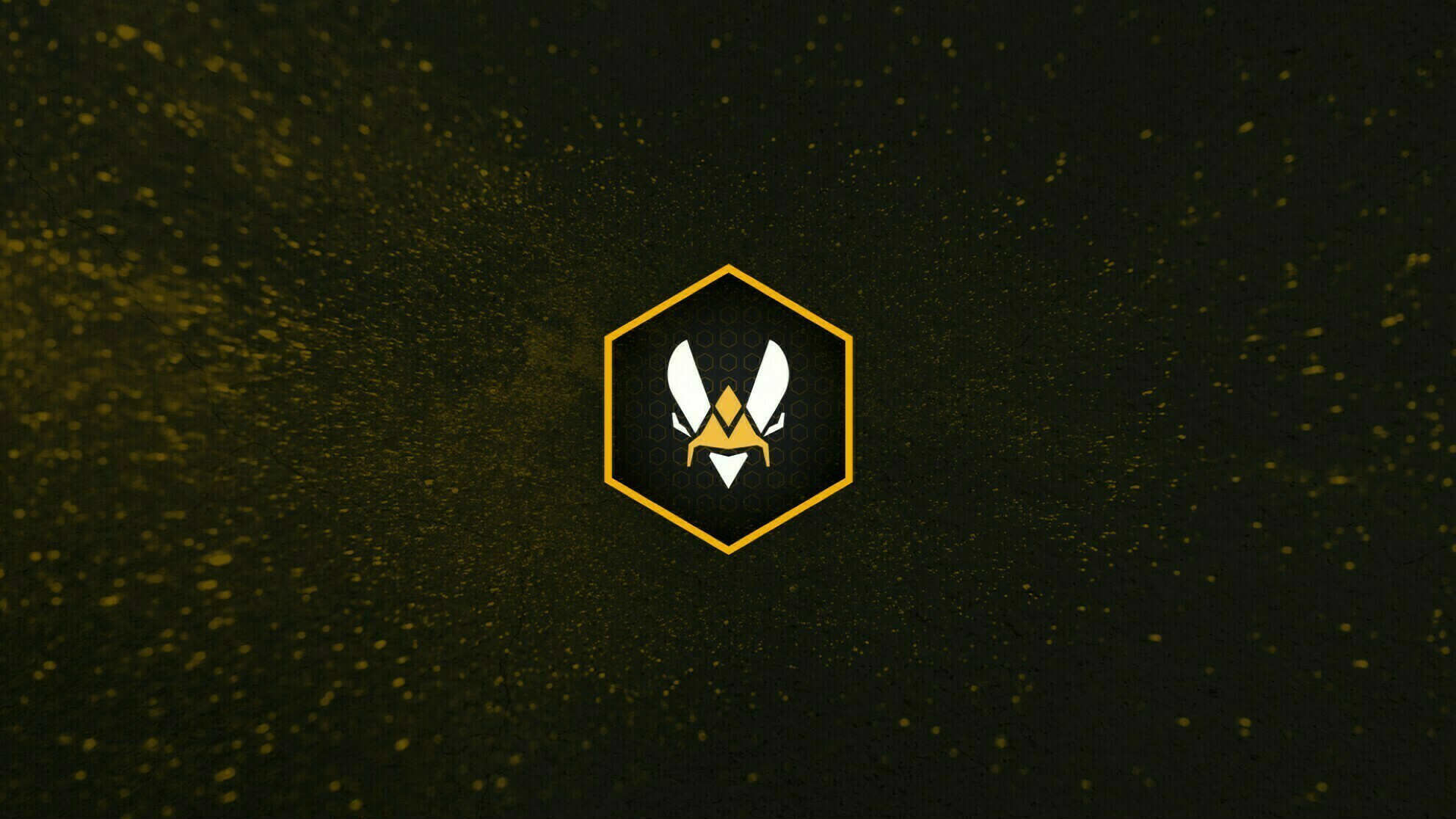 Team Vitality подозревают в стримснайпинге