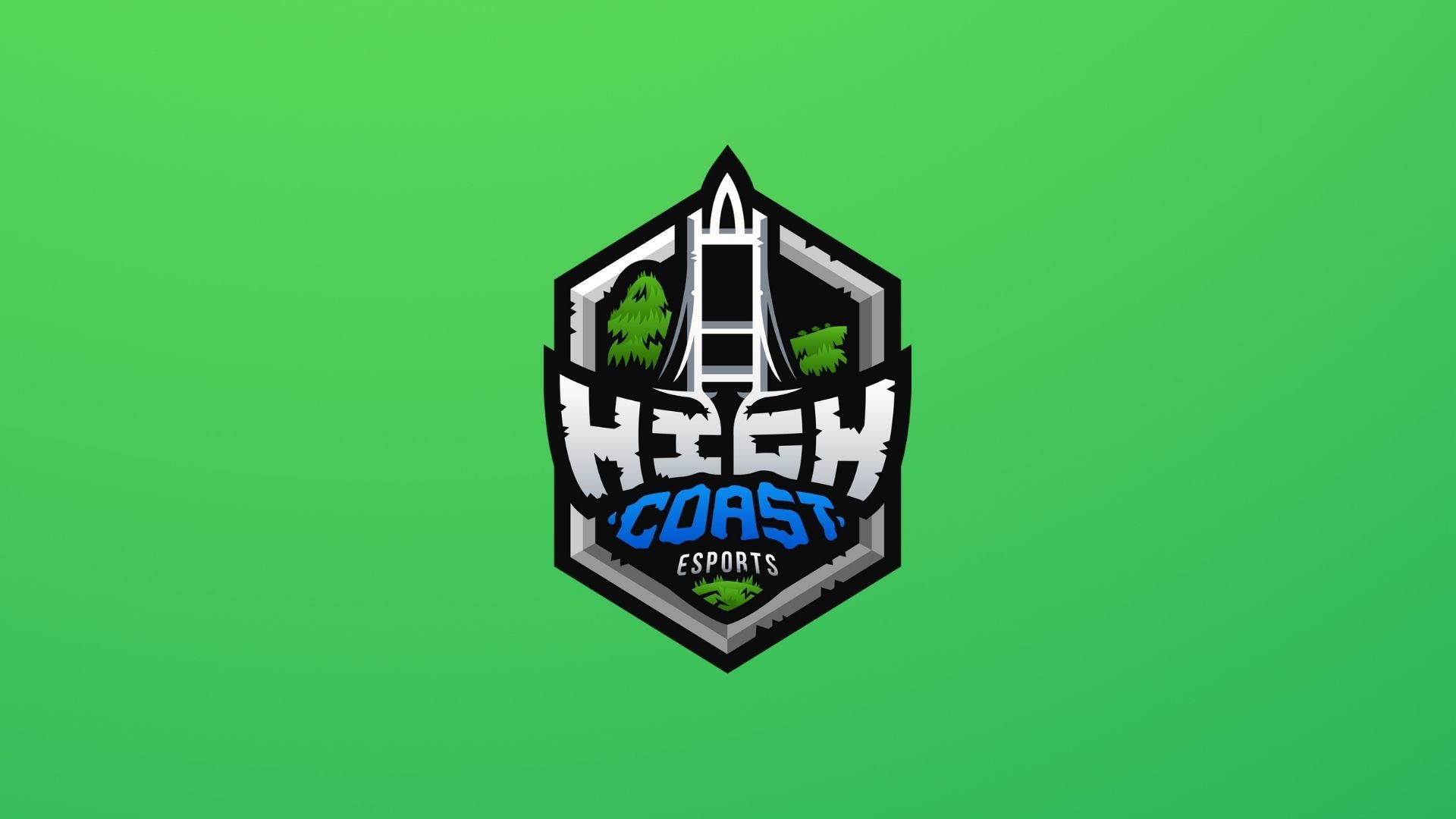 High Coast Esports подписала пятёрку Chicken Fighters